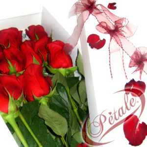 Caja 12 Rosas